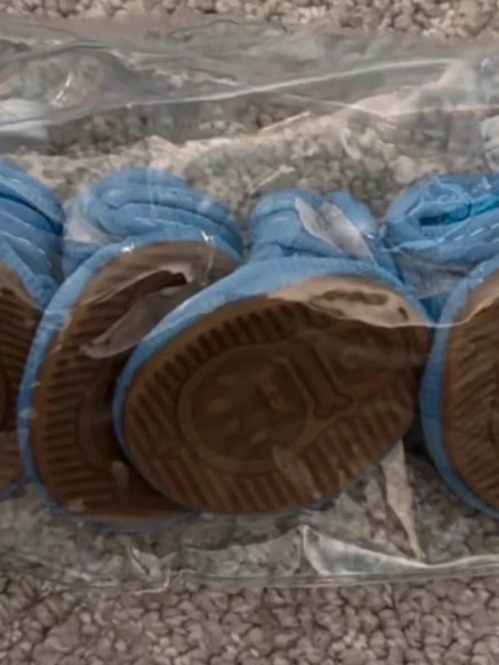 Blue cute pet shoes~new without tags